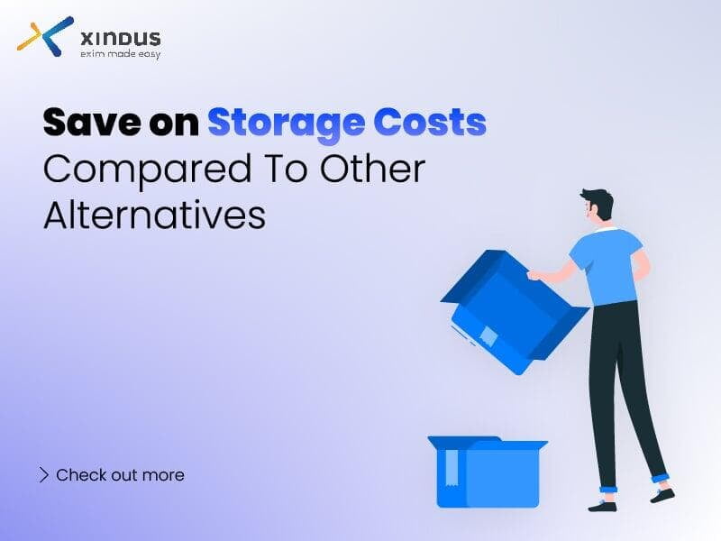 HOW XINDUS HELPS YOU SAVE ON STORAGE COSTS COMPARED TO OTHER ALTERNATIVES